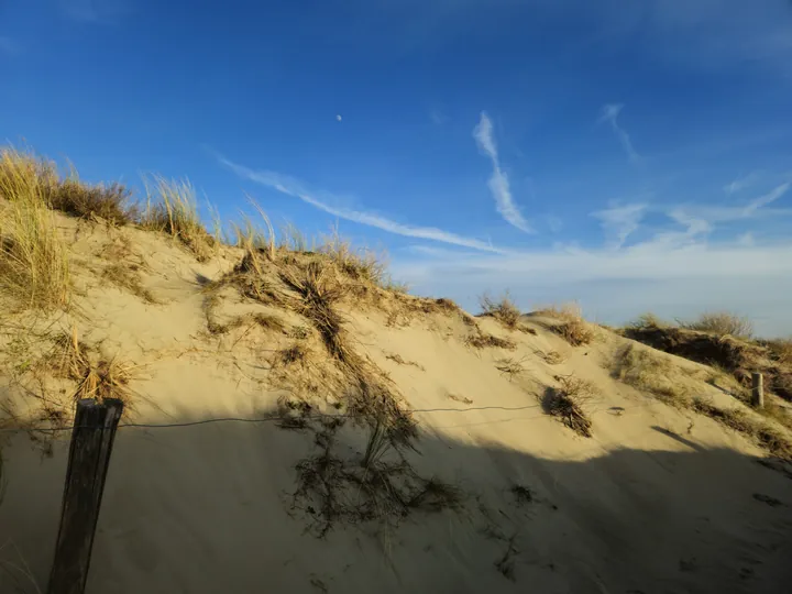 Oostnieuwkerke duinen wandeling in de koude (België)